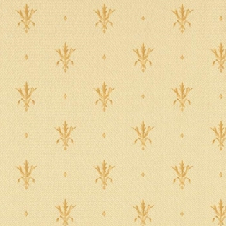 Image-product