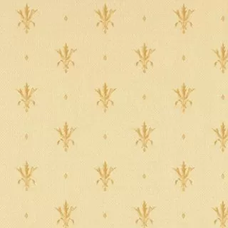 Image-product