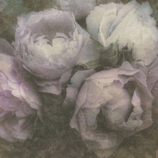 Image-product