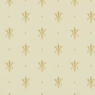 Image-product