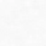 286751 # Tapete Da vinci 1,06 m - img 1