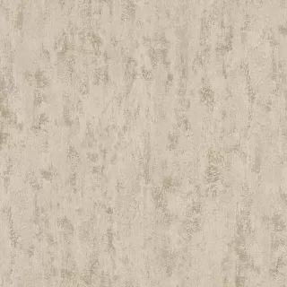 Image-product