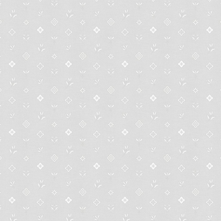 Image-product