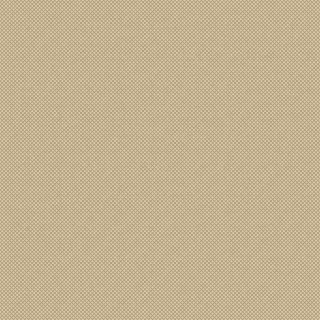 20579 Champagne/Taupe Covor Floorlux 160 x 230 