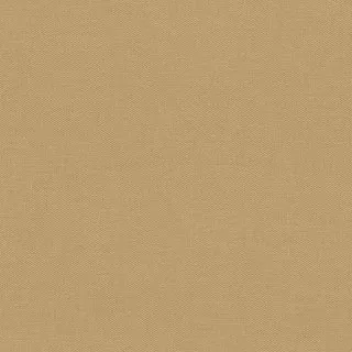 515718 Tapete Etro 0,70 m