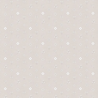 Image-product