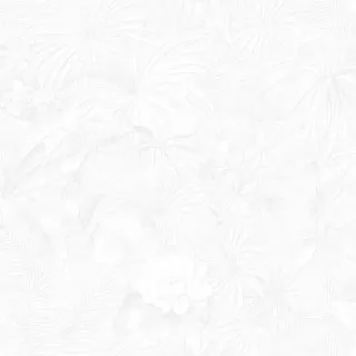 Image-product