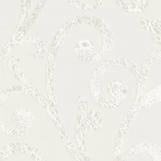 Image-product