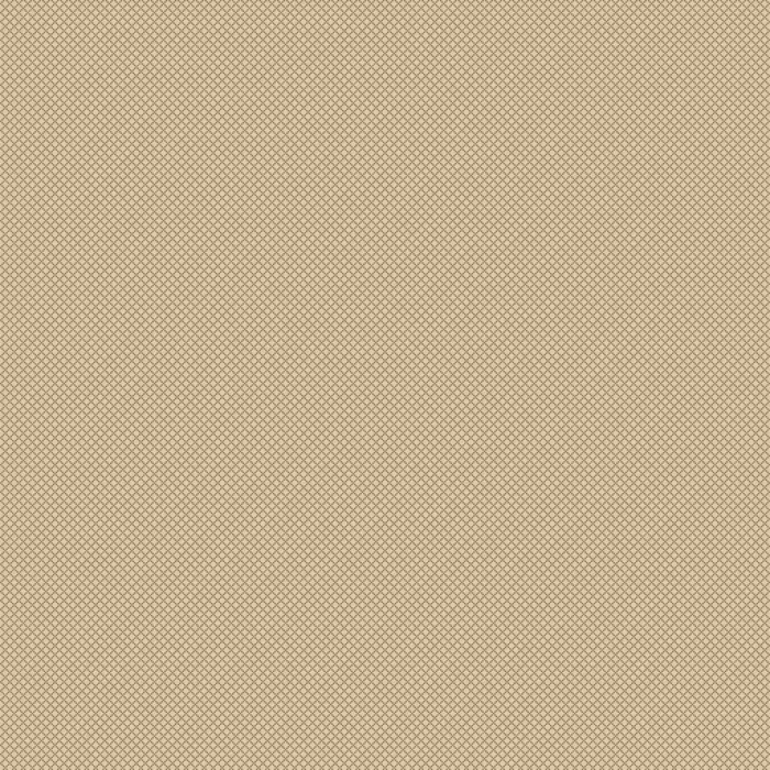 20579 Champagne/Taupe Covor Floorlux 160 x 230  - img 1