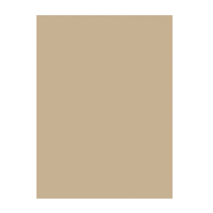 20579 Champagne/Taupe Covor Floorlux 160 x 230  - img 2