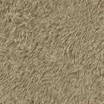 514513 Tapete Black Forest 0.53m - img 1