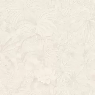 Image-product
