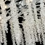 CLN1002-D62 Lustra Grapedrop Cellini chrome - img 12