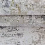B405A Cream/ Grey Covor Kilim 240 x 340 Milat - img 6