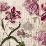 8-510 Merian 368*254 cm - img 1