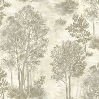 Image-product
