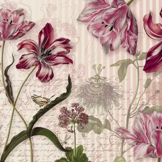 8-510 Merian 368*254 cm