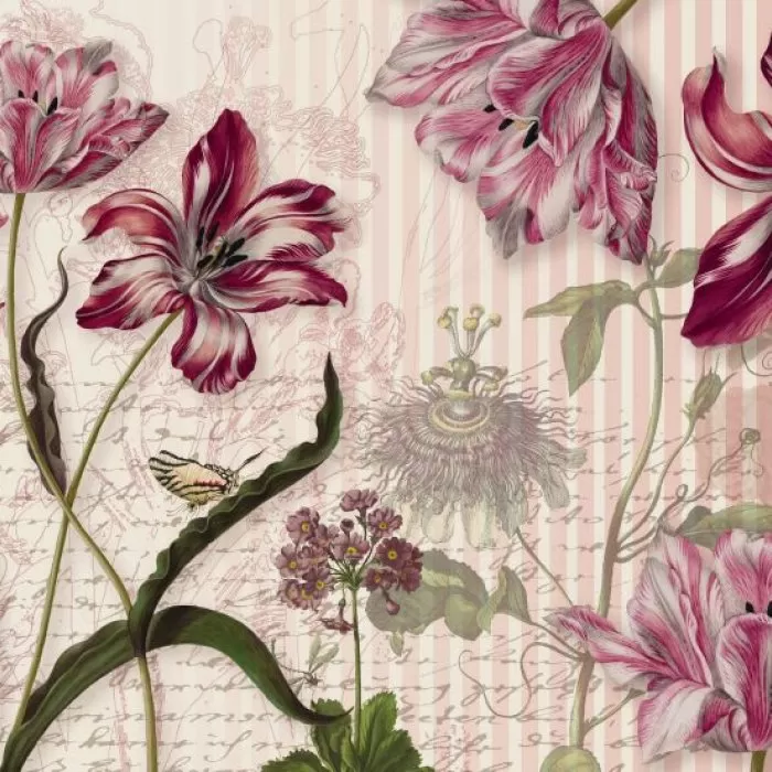 8-510 Merian 368*254 cm - img 1