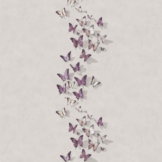 Image-product