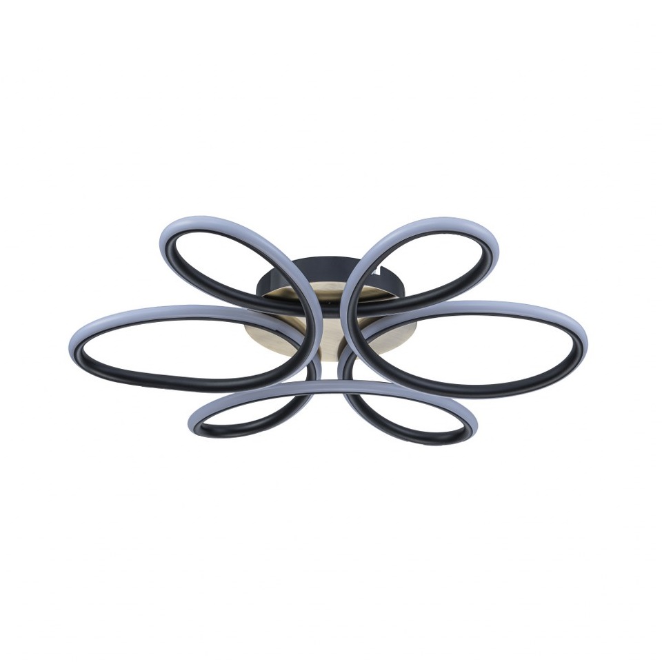Image-product