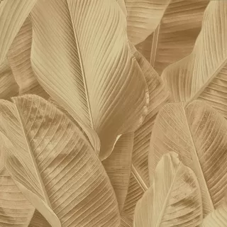 Image-product