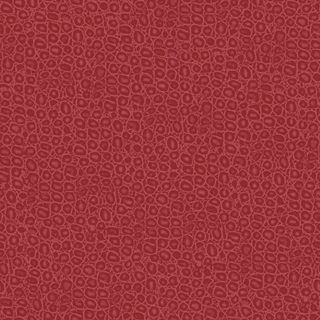 Image-product