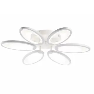Image-product