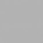 588237 # Tapete Ideal 2 1.06 m - img 1
