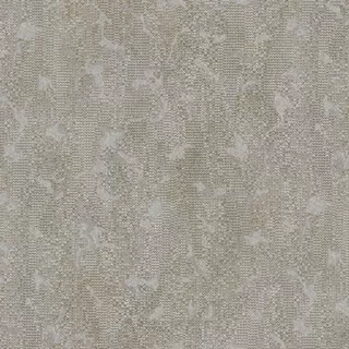Image-product