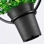 FL673-D27 Lustra Flowerpot Flitz  - img 6