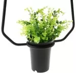 FL673-D27 Lustra Flowerpot Flitz  - img 5