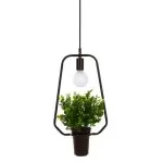 FL673-D27 Lustra Flowerpot Flitz  - img 3