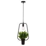 FL673-D27 Lustra Flowerpot Flitz  - img 1