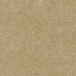 Image-product