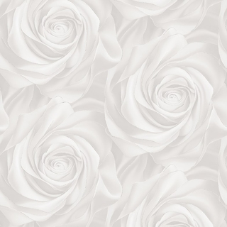 Image-product