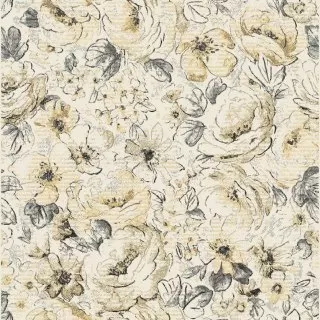 Image-product