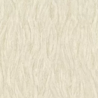 Image-product