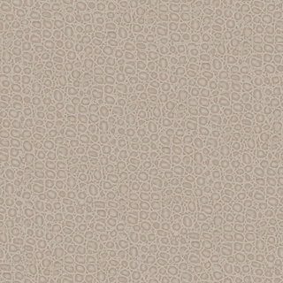 Image-product