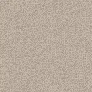 Image-product