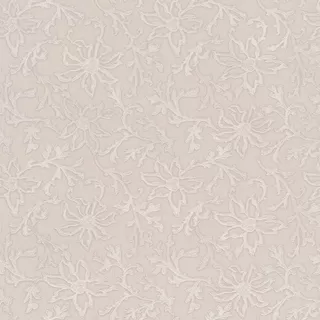 Image-product