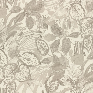 Image-product