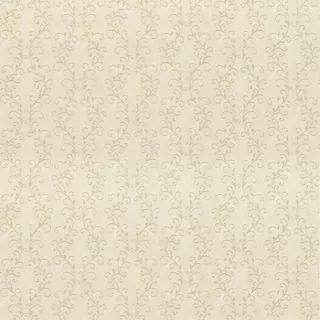 Image-product