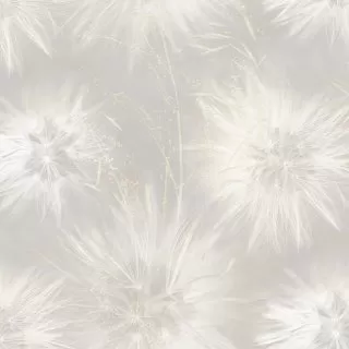 Image-product