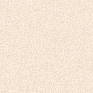Image-product