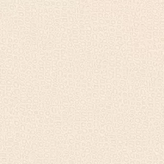 Image-product