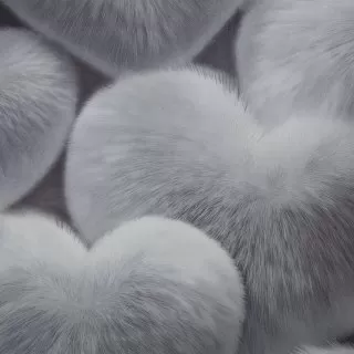 Image-product