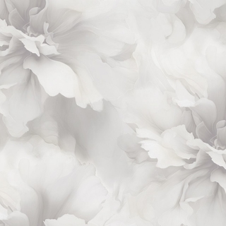 Image-product