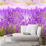 A35901 Lavender panel vinyl 2.80*1.59m Grandeco  - img 1