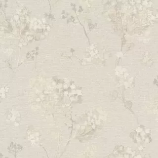 Image-product