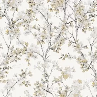 Image-product